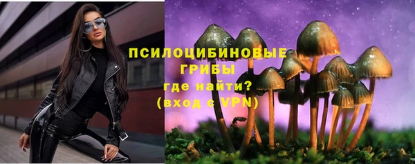 PSILOCYBIN Магадан